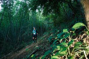 BIB: 
                            <button type="button" onclick="openModal(28124965)" class="btn btn-primary btn-sm float-right btn-popup" data-toggle="modal" data-target=".modal-high-quality">
                        <i class="fas fa-shopping-cart"></i> Add to Cart
                    </button>
                                            <button type="button" onclick="isThisMe(28124965, true)" class="btn btn-success btn-sm float-right btn-popup btn-isme hidden" data-toggle="tooltip" data-placement="bottom" title="นี่คือรูปของคุณใช่ไหม คลิกที่นี่เพื่อเอาเข้าอัลบั้ม">
                        <i class="fas fa-plus"></i> Add to album
                    </button>
                    <button type="button" onclick="isThisMe(28124965, false)" class="btn btn-warning btn-sm float-right btn-popup btn-isnotme hidden">
                        <i class="fas fa-ban"></i> Remove from album
                    </button>